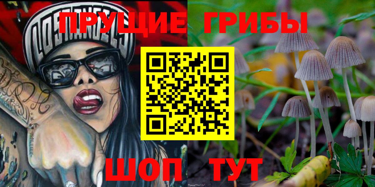 Псилоцибиновые грибы Psilocybine cubensis Ликино-Дулёво